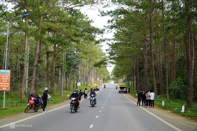 Hình ảnh 1